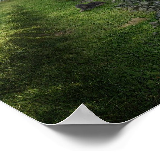 nil novi sub sole - Poster (Coin)