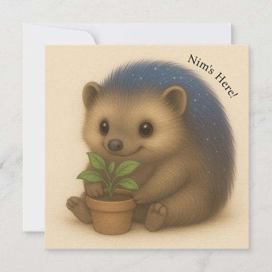 Nim Gardens  Comfort Serie Kaart (Voorkant)