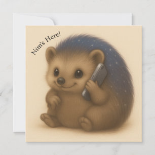 Nim Phones  Comfort Serie Kaart