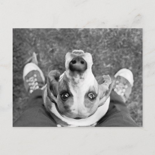 Nimrod met Feet Briefkaart (Voorkant)