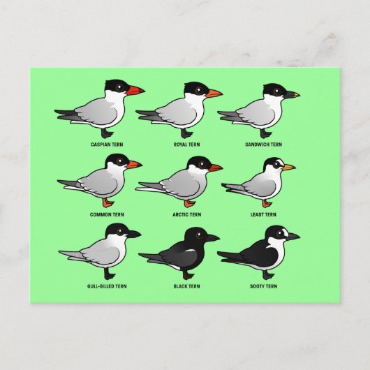 Nine Birdorable Terns (geëtiketteerd) Briefkaart (Voorkant)