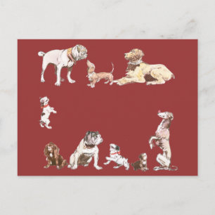 Nine Dogs Briefkaart