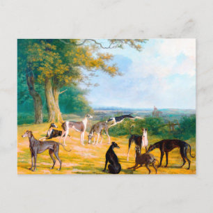 Nine Greyhounds in een landschap door Jacques-Laur Briefkaart