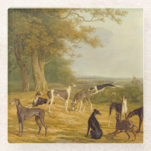 Nine Greyhounds in een Landschap (olie op canvas) Glazen Onderzetter