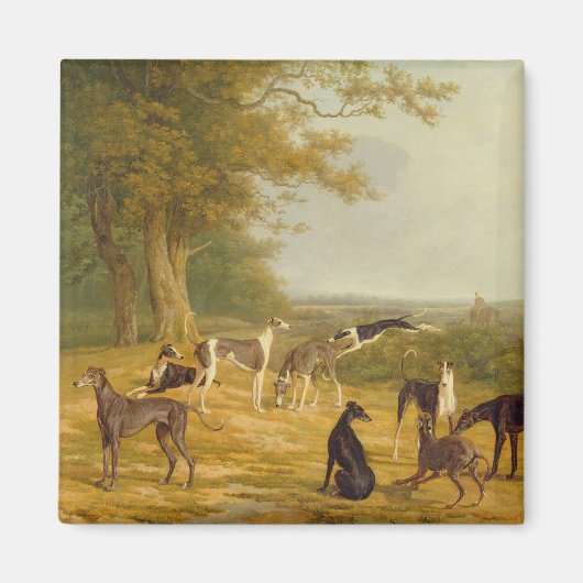 Nine Greyhounds in een Landschap (olie op canvas) Magneet (Voorkant)