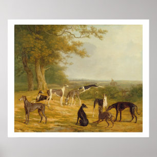 Nine Greyhounds in een Landschap (olie op canvas) Poster