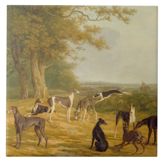 Nine Greyhounds in een Landschap (olie op canvas) Tegeltje (Voorkant)