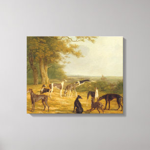 Nine Greyhounds in een Landschap (olie op doek) Canvas Afdruk