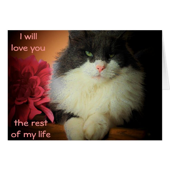 Nine Lives Love Commitment (Voorkant Horizontaal)