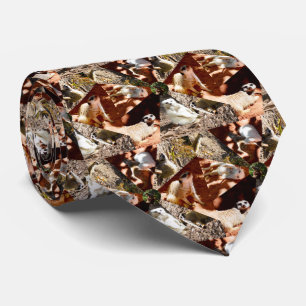 Nine Meerkat Triangles, Stropdas