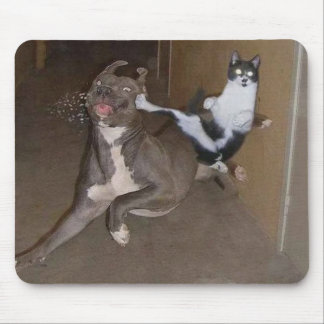 Ninja Cat Mousepad Muismat