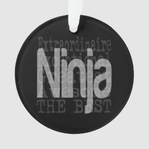 Ninja Extraordinaire