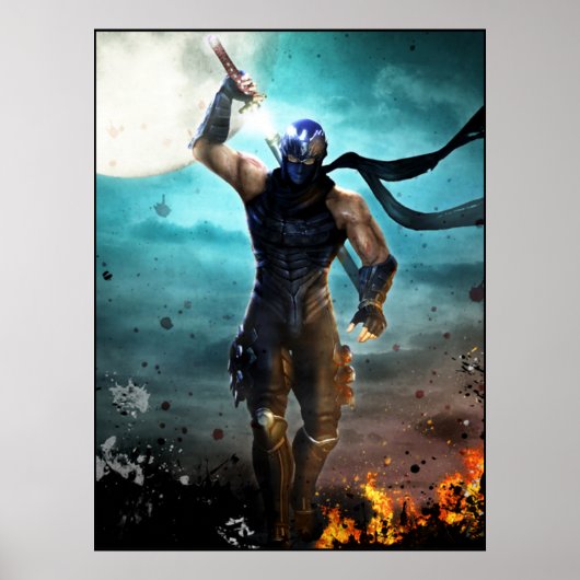 ninja gaiden poster (Voorkant)