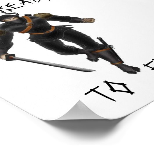 ninja poster (Hoek)