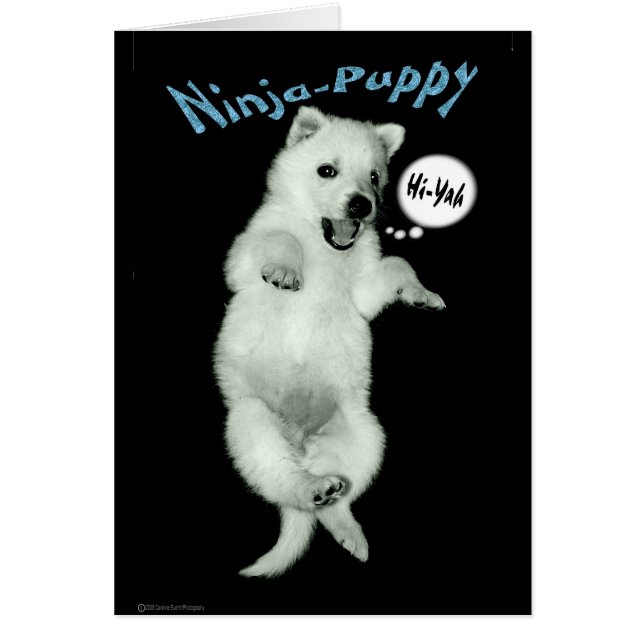 Ninja Puppy (Devant)