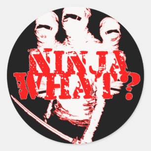 NINJA WAT? RONDE STICKER