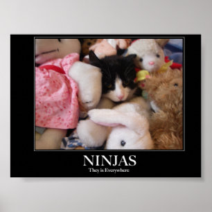 Ninjas - Ze zijn overal Poster