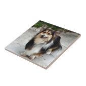 Nipsey Tegeltje (Zijkant)