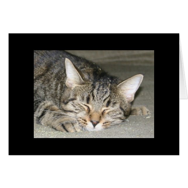 Nirvana (Devant horizontal)