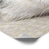 Nirvana Cat Poster (Hoek)