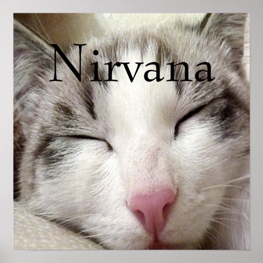 Nirvana Cat Poster (Voorkant)