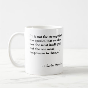 Nirvana Nugget - Mok Sjabloon lang