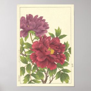 Nishimura Hodo Peony Japanse Flowers Fine Art Poster