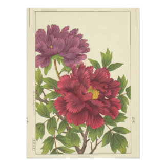 Nishimura Hodo Pioen Japanse Bloemen Fijne Kunst Perfect Poster