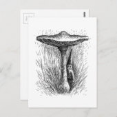 Nisse Elf Behind a Toadstool Briefkaart (Voorkant / Achterkant)