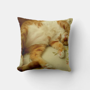 Nite Nite rêvant le coussin de chat
