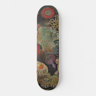 Nitigdecks - Wonders van het Zee - Actiniae Skateb Skateboard