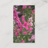 Nitiggedicht Contactkaartje (Achterkant)