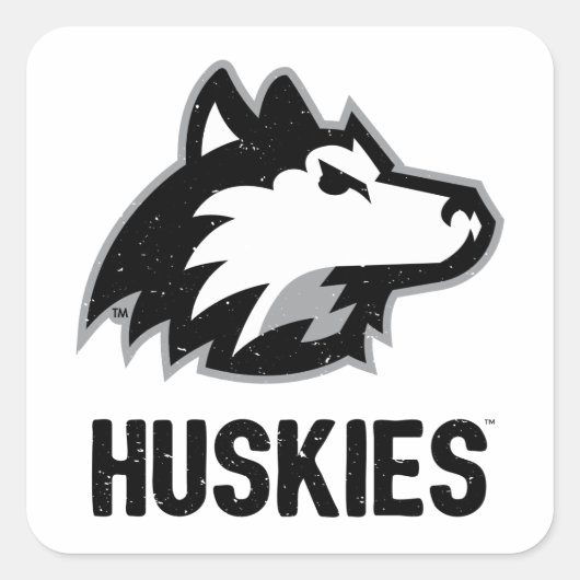 NIU Huskies Distress Vierkante Sticker (Voorkant)