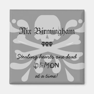Nix Birmingham Magnet Magneet