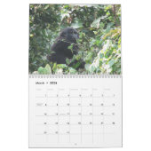 Nkuringo Group Kalender (Mar 2026)