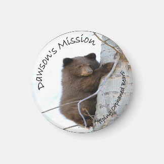 NLWS Dawson Magnet Magneet