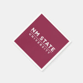 NM Staatsuniversiteit Servet (Hoek)
