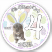 NMD à DSK - Avril 2023 Sticker pour insigne (Devant)