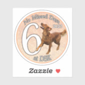 NMD bij DSK - juni 2023 Badge Sticker (Vel)