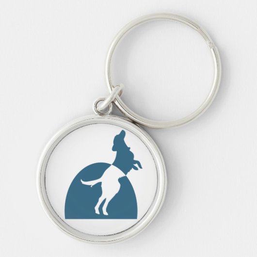 NMDR Round Sleutelhanger (Voorkant)