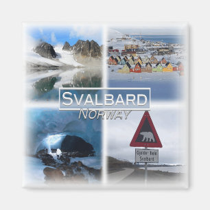 NO0166 Europa, Noorwegen, Svalbard-eilanden, koelk Magneet