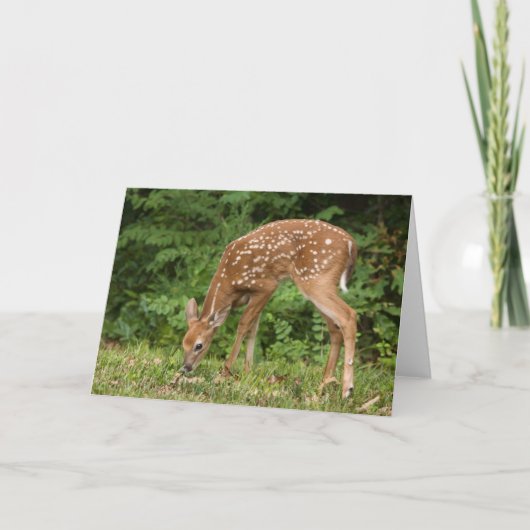 No. 1 de carte de voeux de faon (Devant)