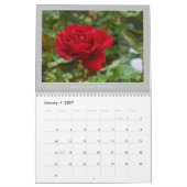 (no 1) Rose 2010: Belle nature - Calendrier (Jan 2027)