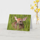 No. 3 de carte de voeux de faon (Fleur jaune)