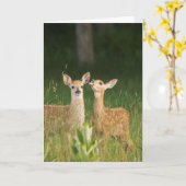 No. 6 de carte de voeux de faon (Fleur jaune)