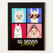No drama Llamas (Dos)