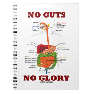 No Glory (Digestive System Humor) Notitieboek