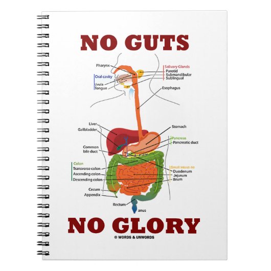No Glory (Digestive System Humor) Notitieboek (Voorkant)