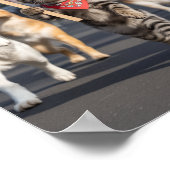 No Kings Day Pet Poster (Hoek)