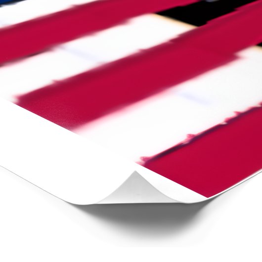 "NO kings" Glossy Poster (Coin)